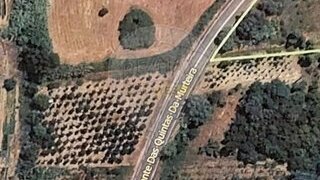 Terreno em Anadia