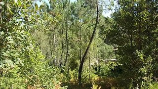 Land for sale in Viseu, Portugal — €25,000