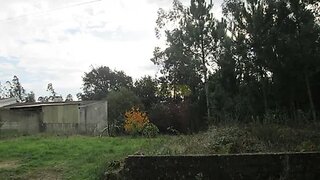 Land for sale in Santa Maria da Feira, Portugal — €67,500