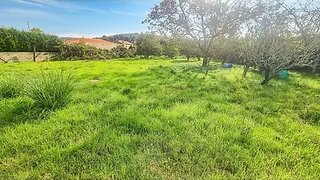 Terreno · 1200 m² · 126 000 €