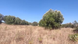 Land for sale in Torres Novas, Portugal — €20,000