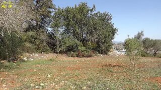 Land for sale in Portimão, Portugal — €225,000