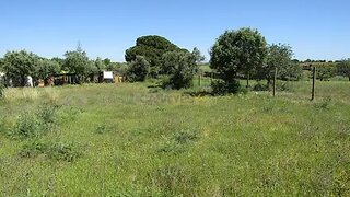 Land for sale in Loulé, Portugal — €55,000