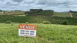 Land for sale in Cadaval, Portugal — €20,000