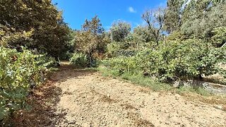 Land for sale in Vouzela, Portugal — €17,000
