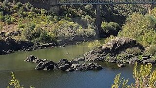 Land for sale in Nisa, Portugal — €16,000