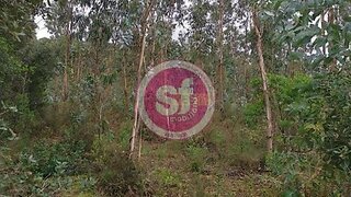 Land for sale in Anadia, Portugal — €7,500