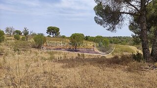 Land for sale in Mora, Portugal — €85,000