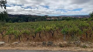 Land for sale in Pinhel, Portugal — €35,000