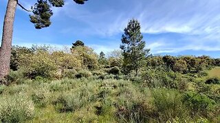 Terreno para venda em Celorico da Beira, Portugal — 10 500 €