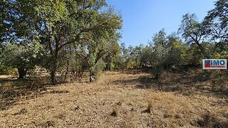 Terreno de 2280 m² em Castelo Branco