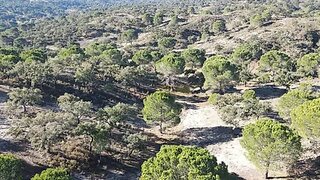 Land for sale in Ponte de Sor, Portugal — €78,000
