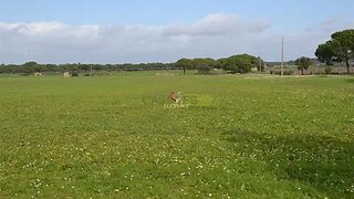 Land for sale in Palmela, Portugal — €480,000