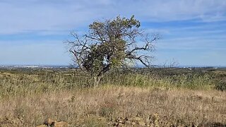 Land for sale in Tavira, Portugal — €29,000
