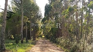 Land for sale in Aljezur, Portugal — €65,000