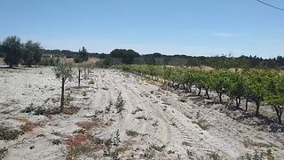 Land for sale in Coruche, Portugal — €35,000