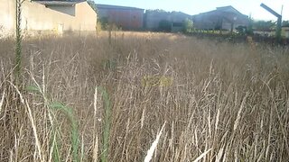 Land for sale in Oliveira do Bairro, Portugal — €40,000