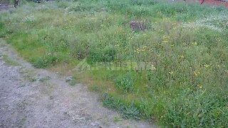 Land for sale in Horta, Portugal — €55,000