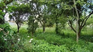 Land for sale in Águeda, Portugal — €85,000
