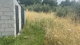 Terreno para venda em Nelas, Portugal — 19 500 €