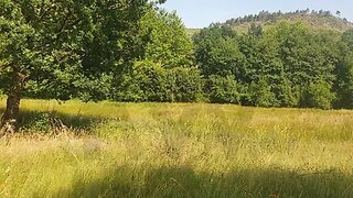 Land for sale in Cabeceiras de Basto, Portugal — €16,000