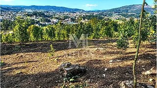 Land for sale in Barcelos, Portugal — €90,000