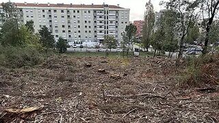Land for sale in Valongo, Portugal — €380,000