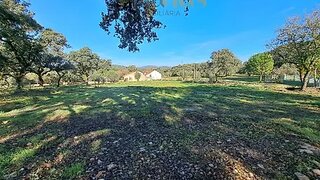 Land for sale in Ferreira do Zêzere, Portugal — €60,000