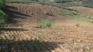 Land for sale in Castro Marim, Portugal — €11,000