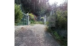 Land for sale in Sever do Vouga, Portugal — €21,000