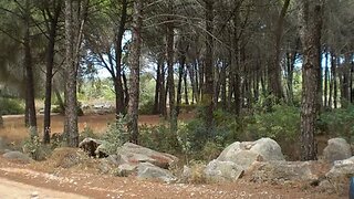 Land for sale in Loulé, Portugal — €66,000