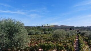 Terreno em Mangualde