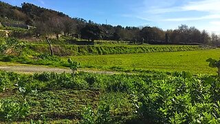 Terreno · 10 100 m² · 320 000 €