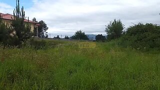 Land for sale in Vila Nova de Cerveira, Portugal — €74,500