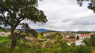 Land for sale in Proença-a-Nova, Portugal — €20,000