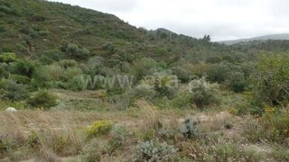 Land for sale in Ansião, Portugal — €24,400