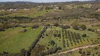 Land for sale in Silves, Portugal — €9,000