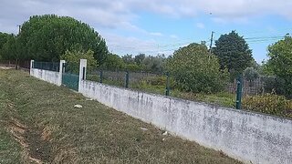 Land for sale in Tomar, Portugal — €70,000