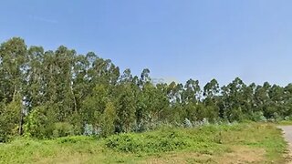 Land for sale in Albergaria-a-Velha, Portugal — €230,000
