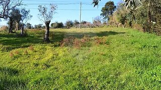 Land for sale in Ferreira do Zêzere, Portugal — €39,500