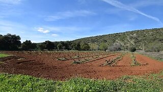Land for sale in Loulé, Portugal — €19,990