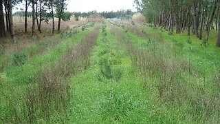 Land for sale in Mira, Portugal — €35,000