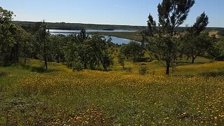 Land for sale in Santiago do Cacém, Portugal — €199,000