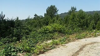 Terreno · 561 m² · 60 000 €