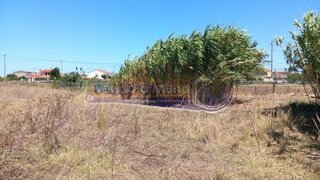 Land for sale in Benavente, Portugal — €149,000
