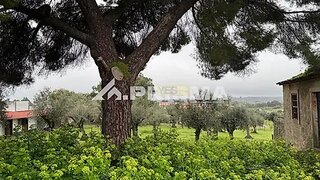 Land for sale in Horta, Portugal — €125,000