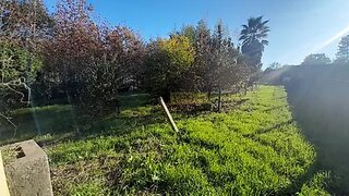 Land for sale in Águeda, Portugal — €40,000