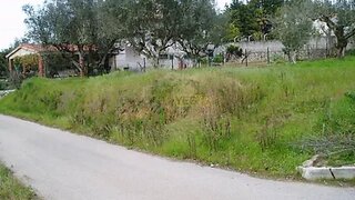 Land for sale in Tomar, Portugal — €25,000