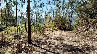 Terreno em Castelo de Paiva