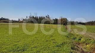 Terreno de 9600 m² em Aveiro